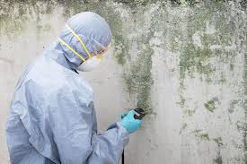 Best Mold Remediation for Healthcare Facilities  in North Sioux City, SD